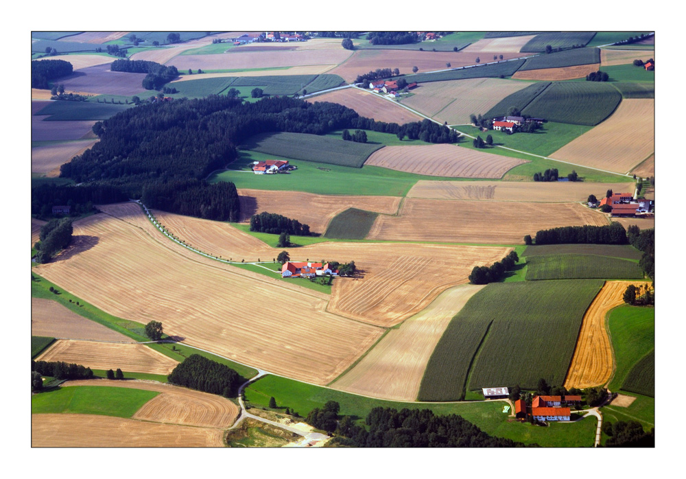 Bavarian Summer Fields