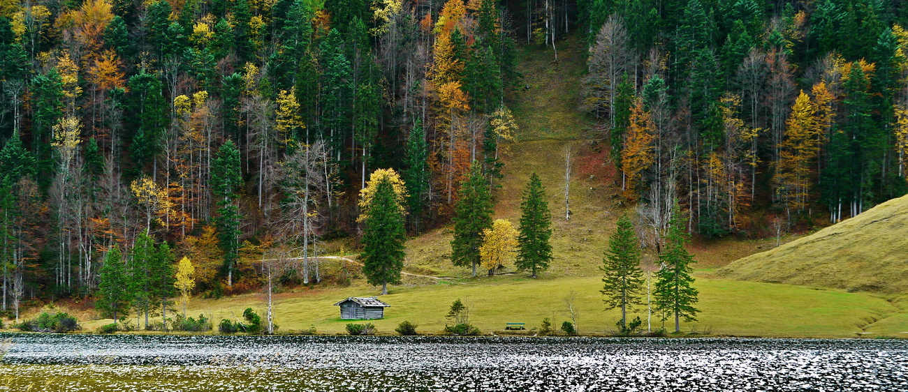 Bavarian Summer II