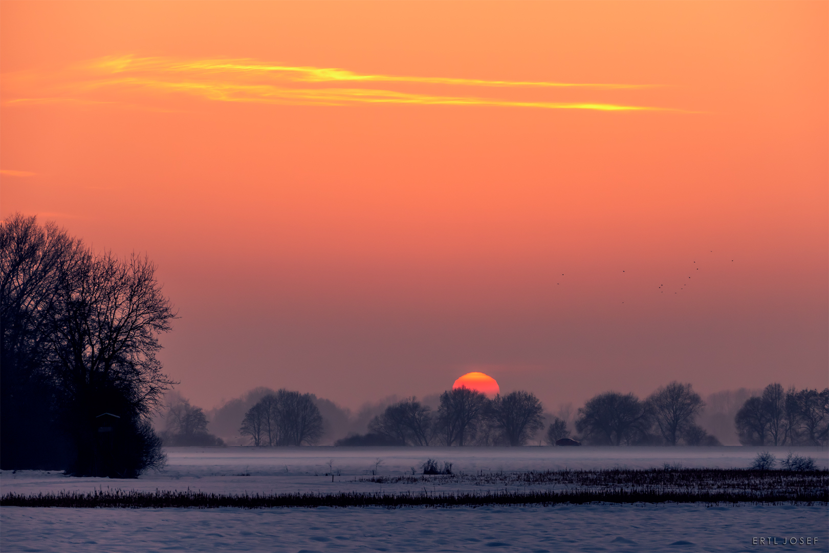 bavarian sunset - Bayern677