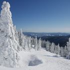 Bavarian Winter Wonderland