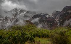 Bavški Grintavec
