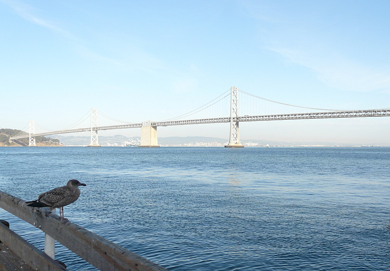 Bay Bridge in San Francisco