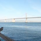 Bay Bridge in San Francisco