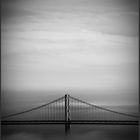 Bay Bridge. Portrait