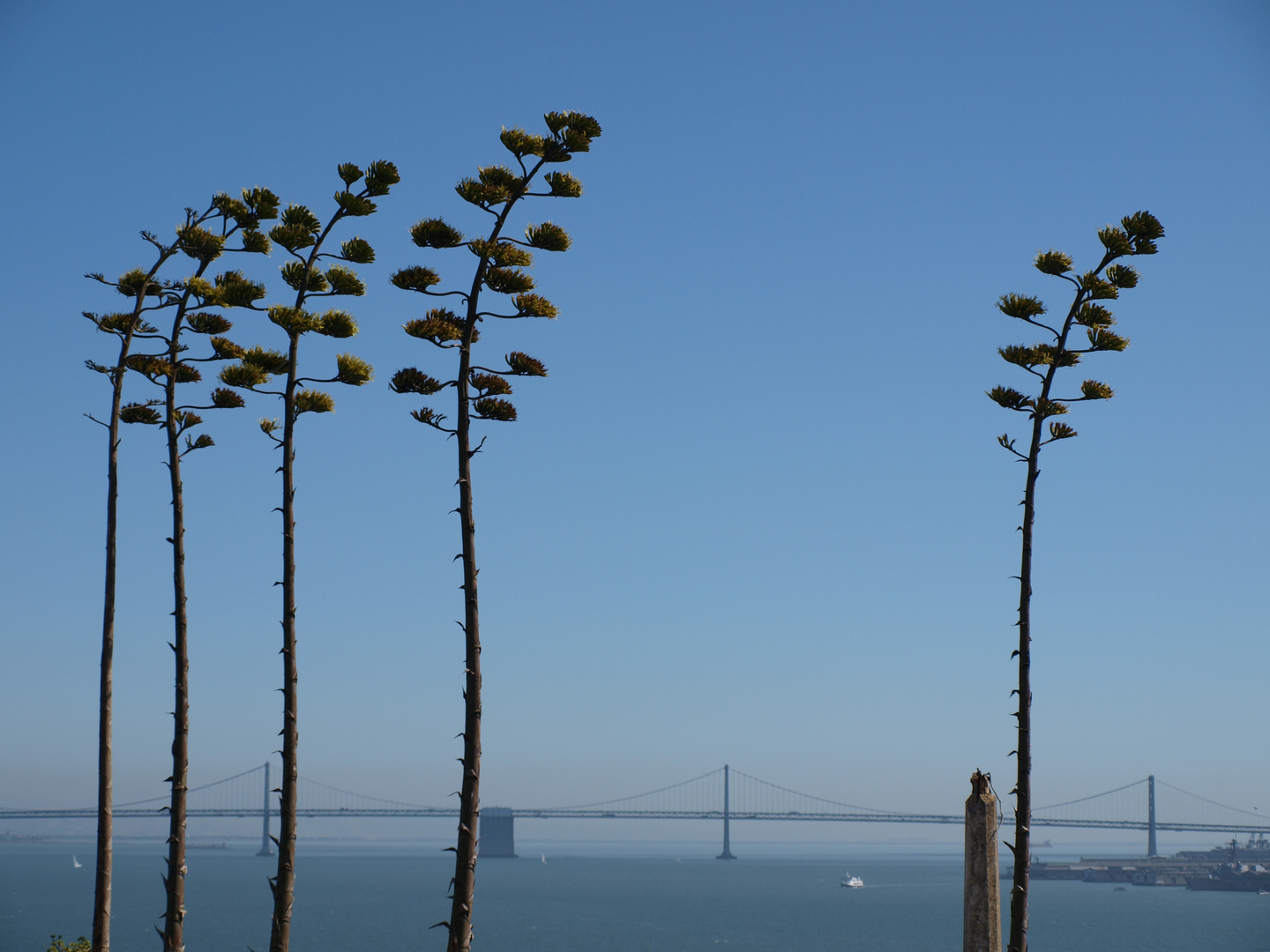 Bay Bridge San Francisco