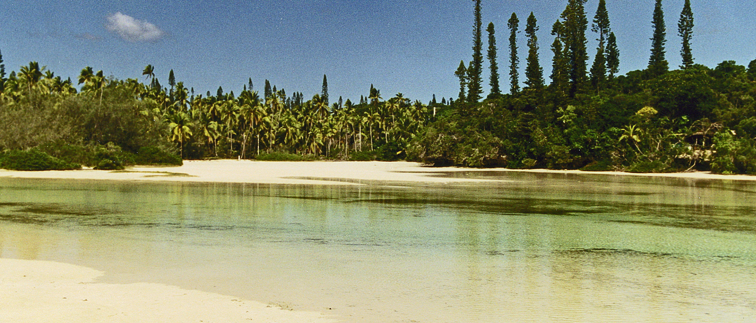 Bay D " Oro Nouvelle Caledoni