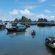 bay near cam pha (vietnam)