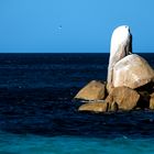 bay of fires 2