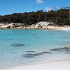 Bay of fires 5