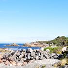 Bay of Fires (Tasmanien, Nordostküste)