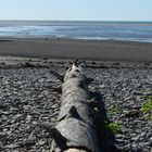 Bay of Fundy