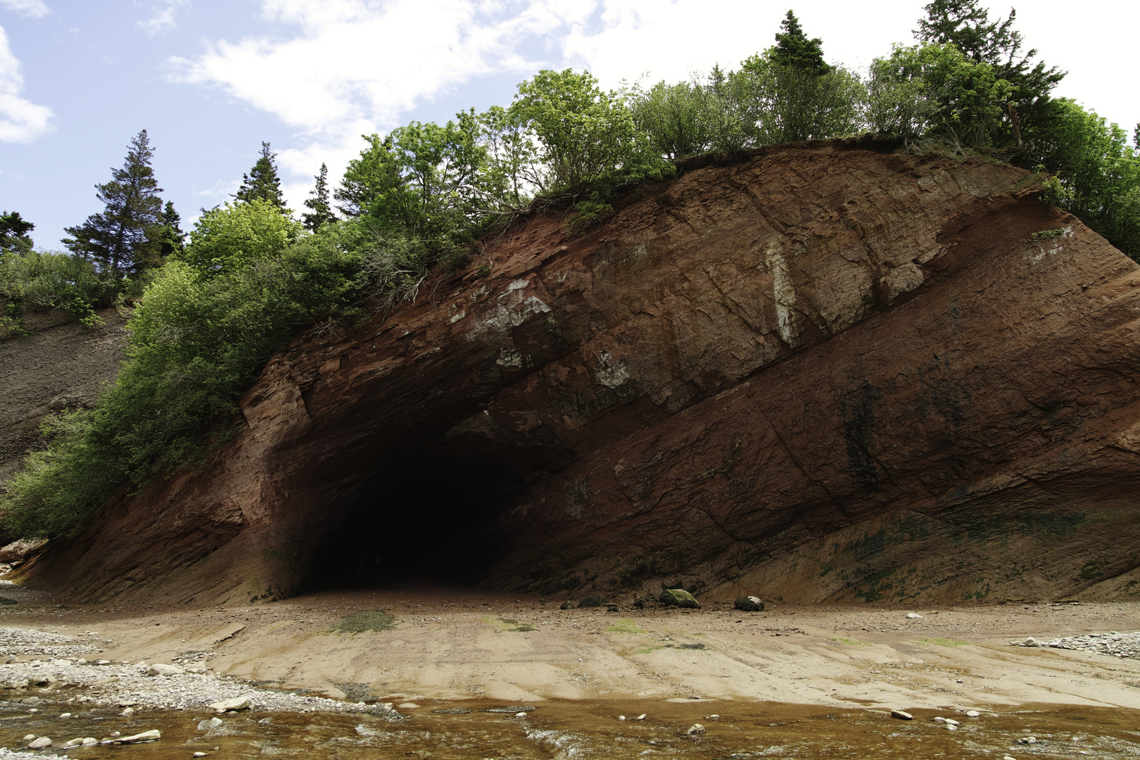 Bay of Fundy, Höhlen bei St.John