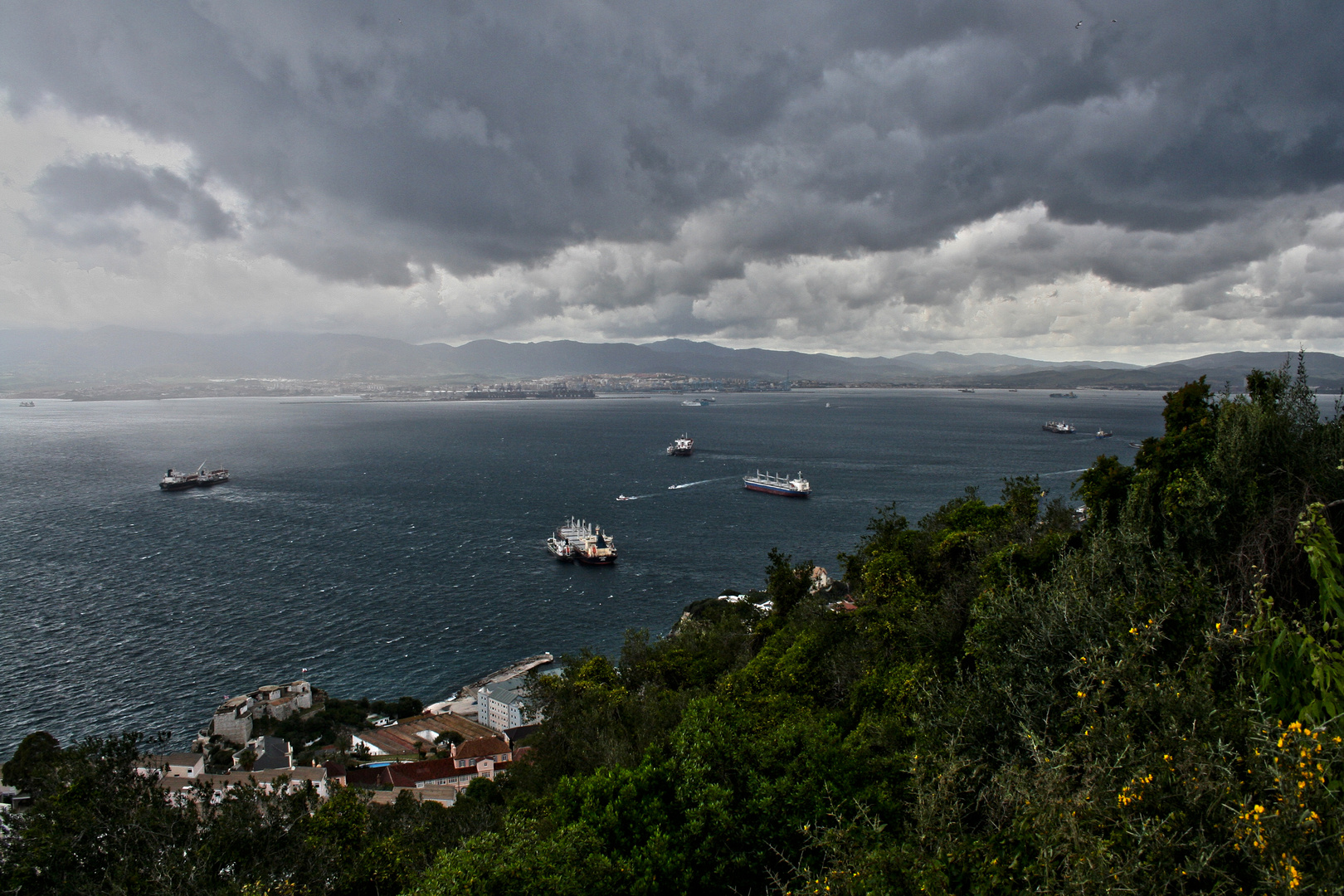 Bay of Gibraltar - 2016