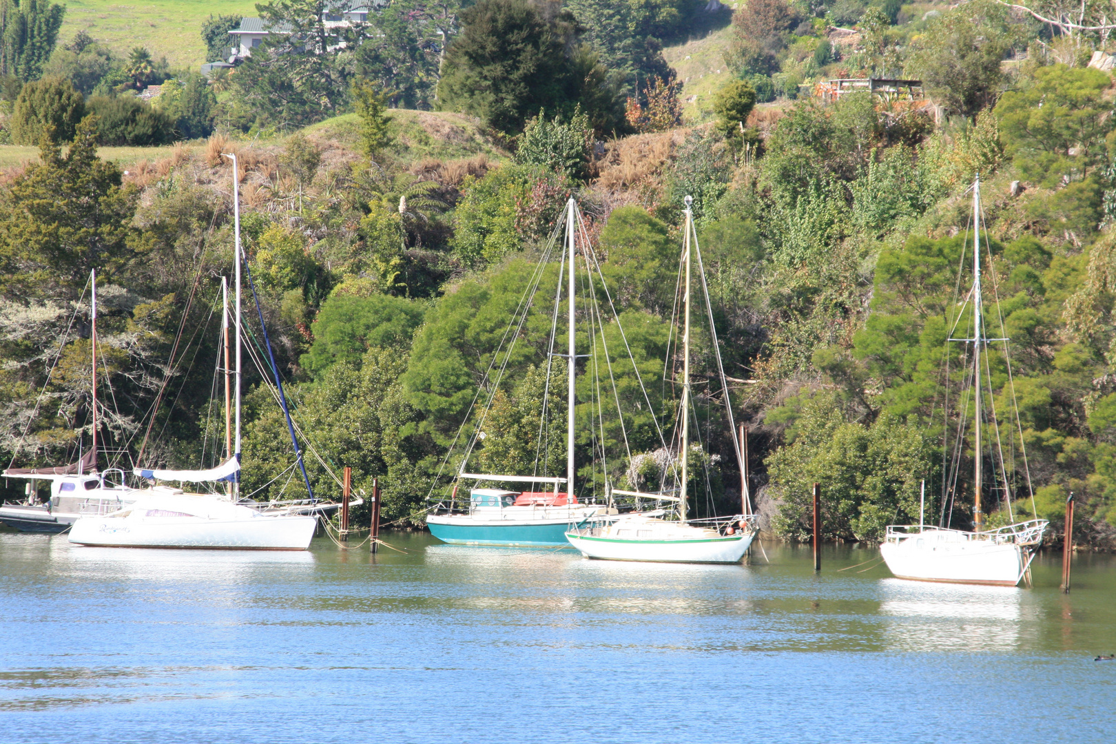 Bay of Islands