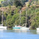 Bay of Islands