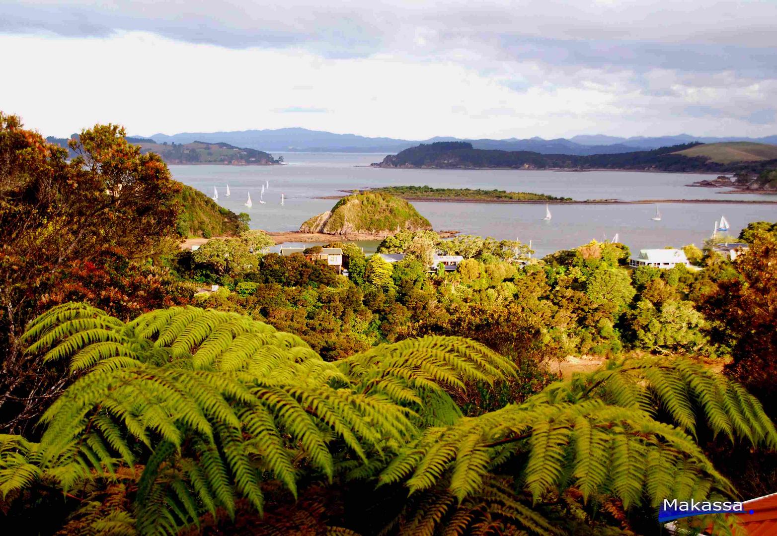 Bay of Islands