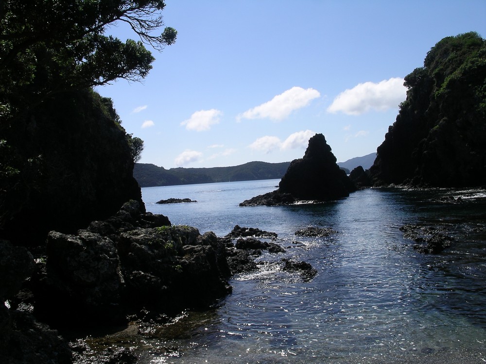 Bay of Islands - Neuseeland von ClaudiaHofer 