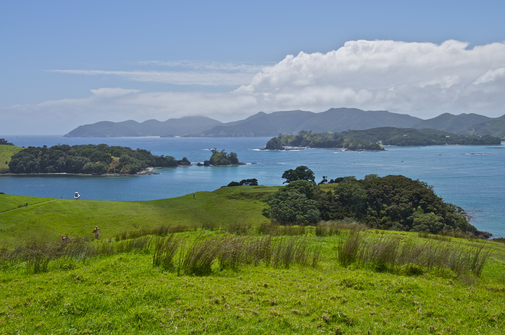 Bay of Islands - Urupakupaku