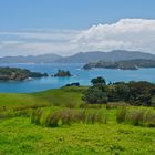 Bay of Islands - Urupakupaku