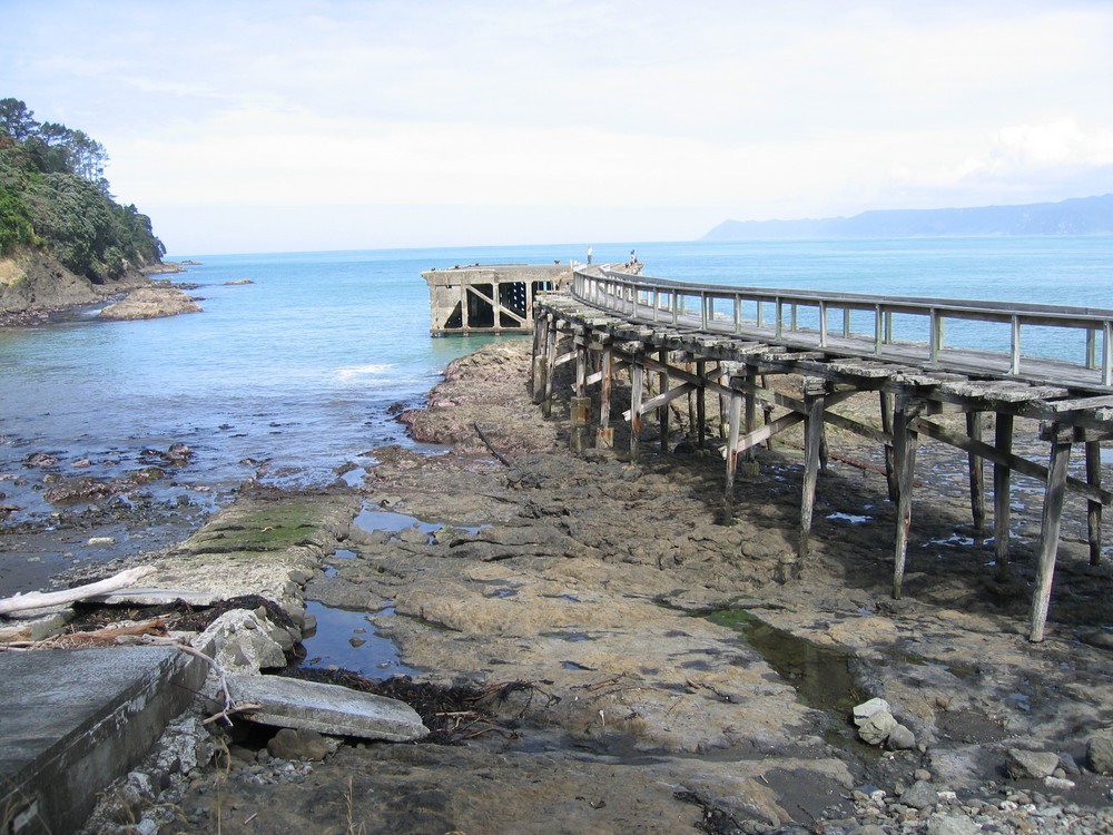 Bay of Plenty (NZ)