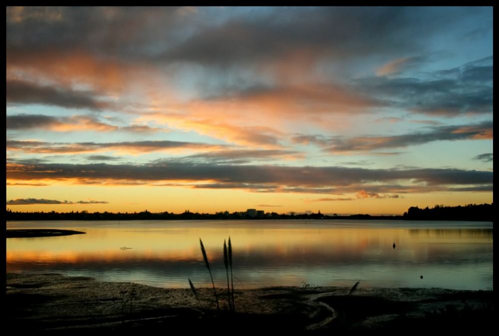 Bay of Tauranga