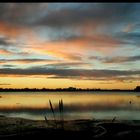 Bay of Tauranga