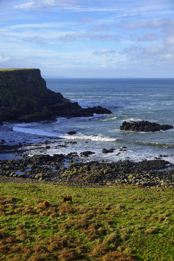 Bay of the Cow, Northern Ireland