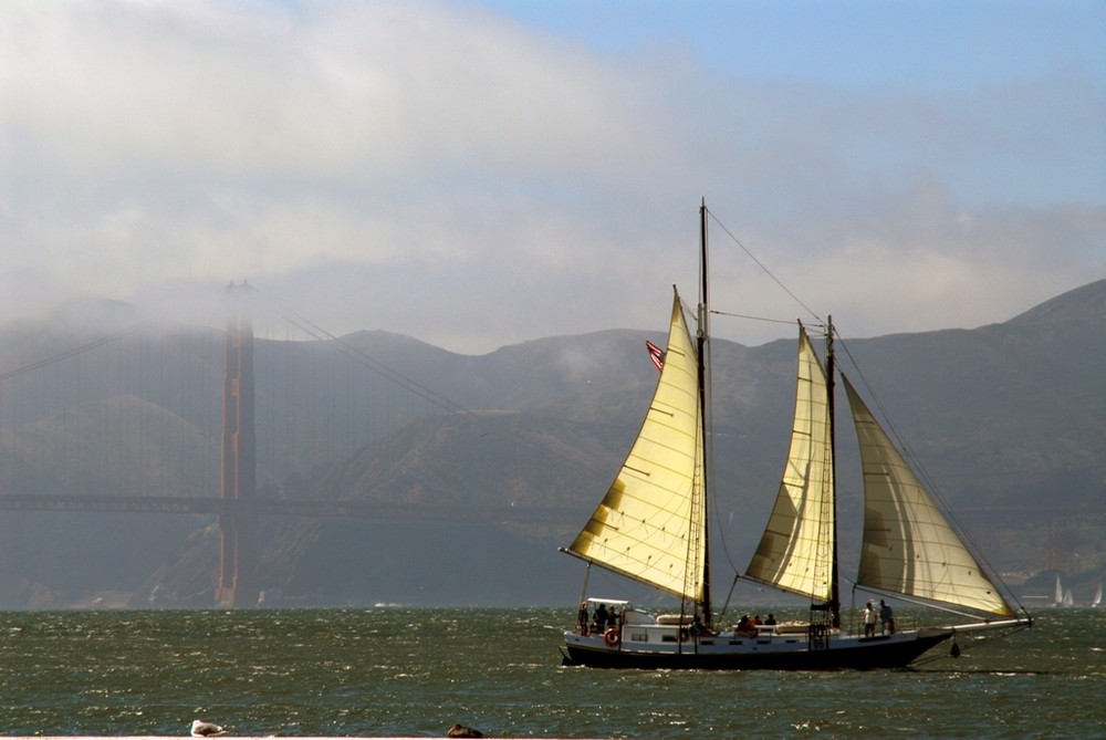 Bay Sailing