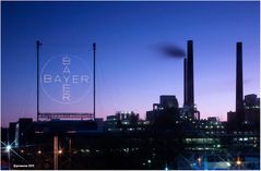 Bayer.....