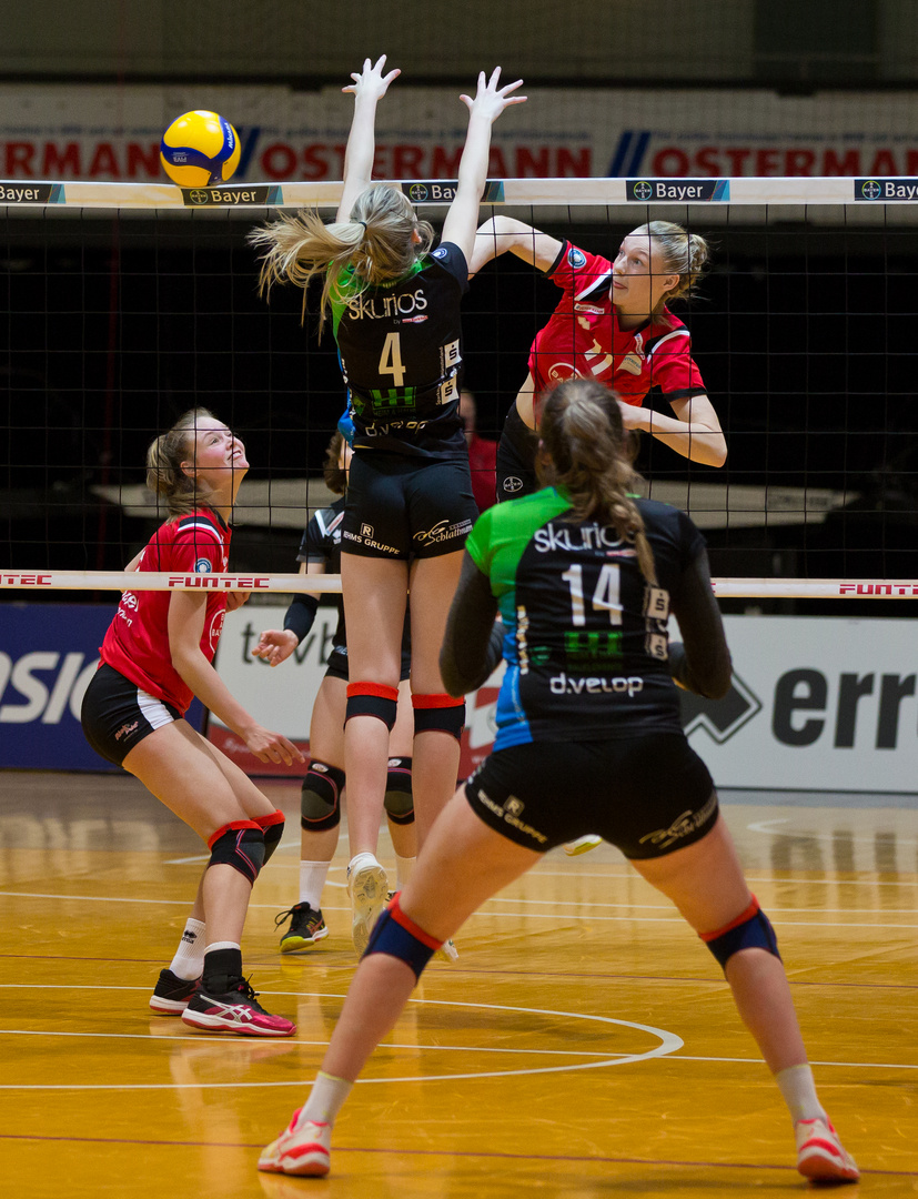 Bayer Leverkusen vs Skurios Volleys Borken_2482a