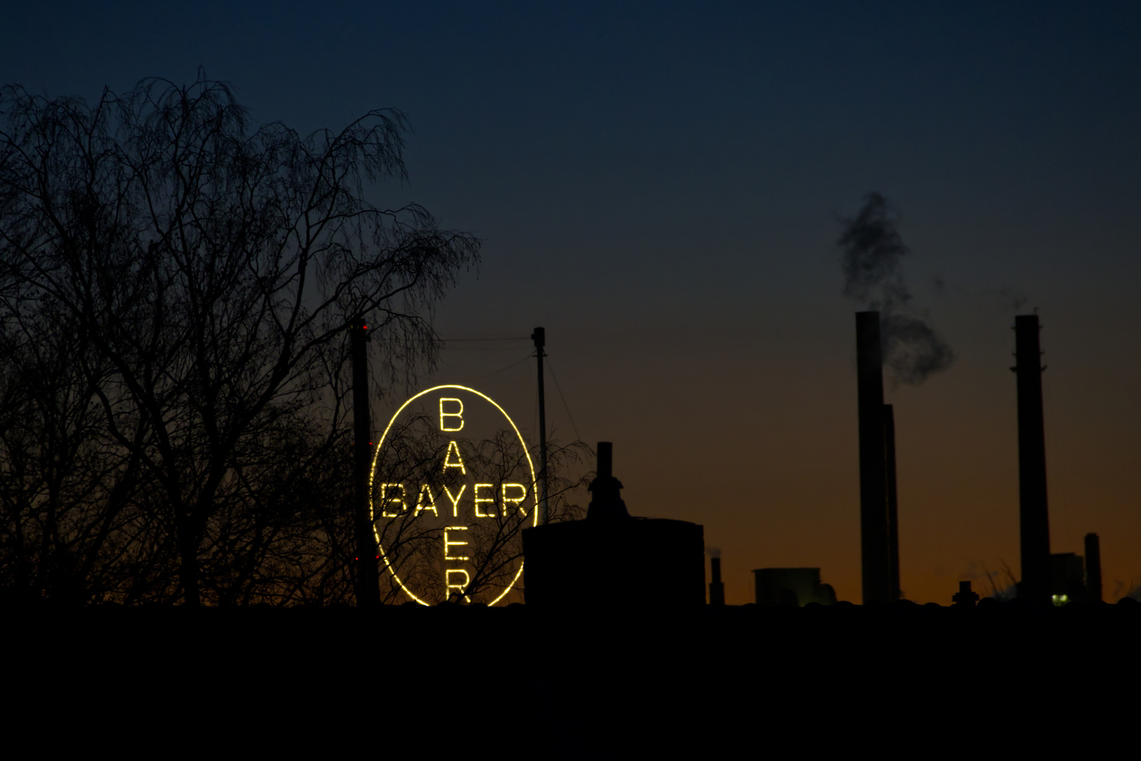 Bayer Skyline