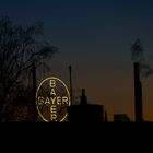 Bayer Skyline