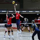 Bayer Volleys Leverkusen vs DSHS Snowtrex Köln_7446