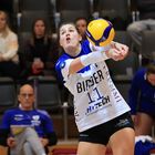 Bayer Volleys vs Blaubären Flacht_3860