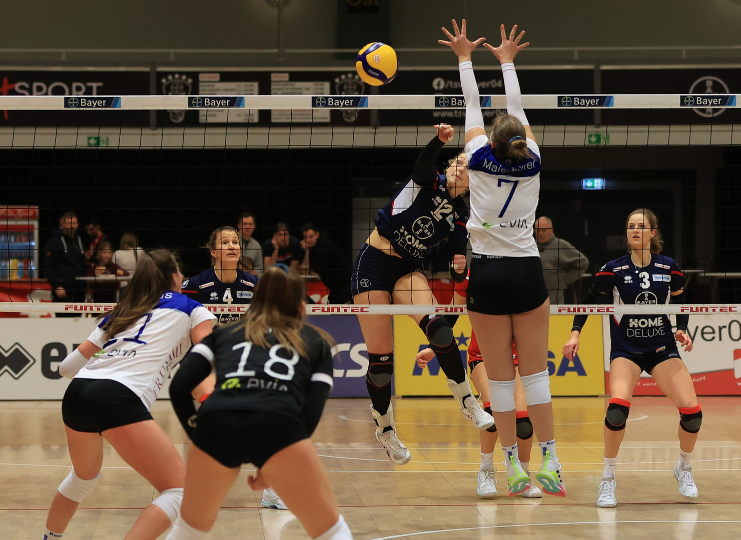 Bayer Volleys vs Blaubären Flacht_3934