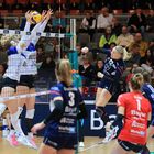 Bayer Volleys vs Blaubären Flacht_3994