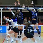 Bayer Volleys vs Blaubären Flacht_4180