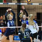 Bayer Volleys vs Blaubären Flacht_4207