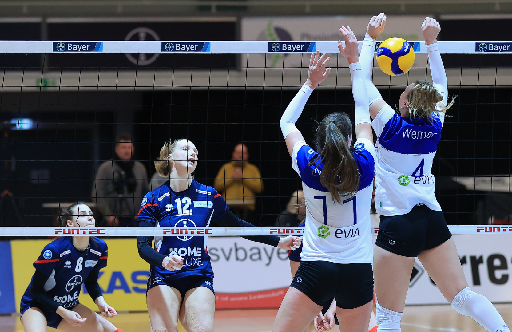 Bayer Volleys vs Blaubären Flacht_4219