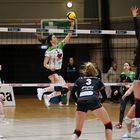 Bayer Volleys vs SkuriosVolleys Borken_057