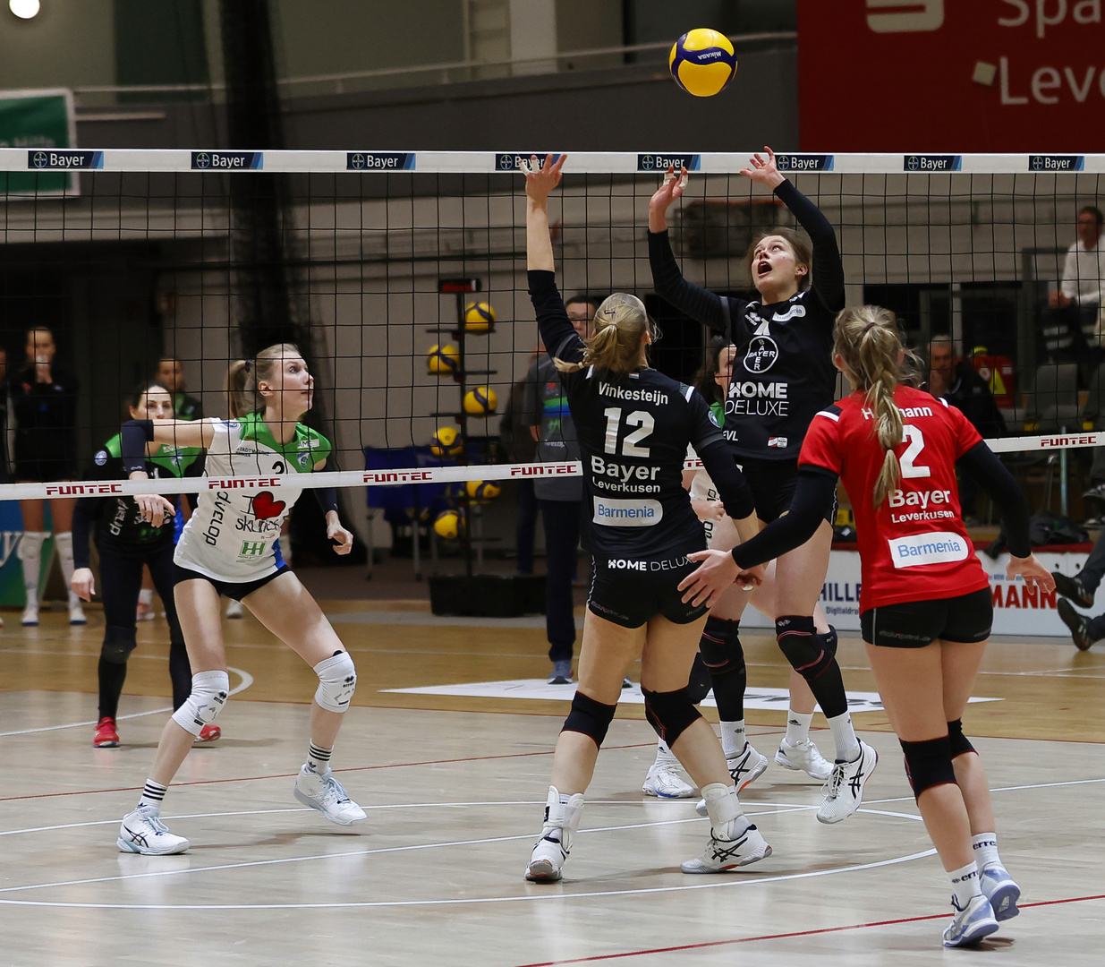 Bayer Volleys vs SkuriosVolleys Borken_060