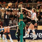 Bayer Volleys vs SW Erfurt_4811