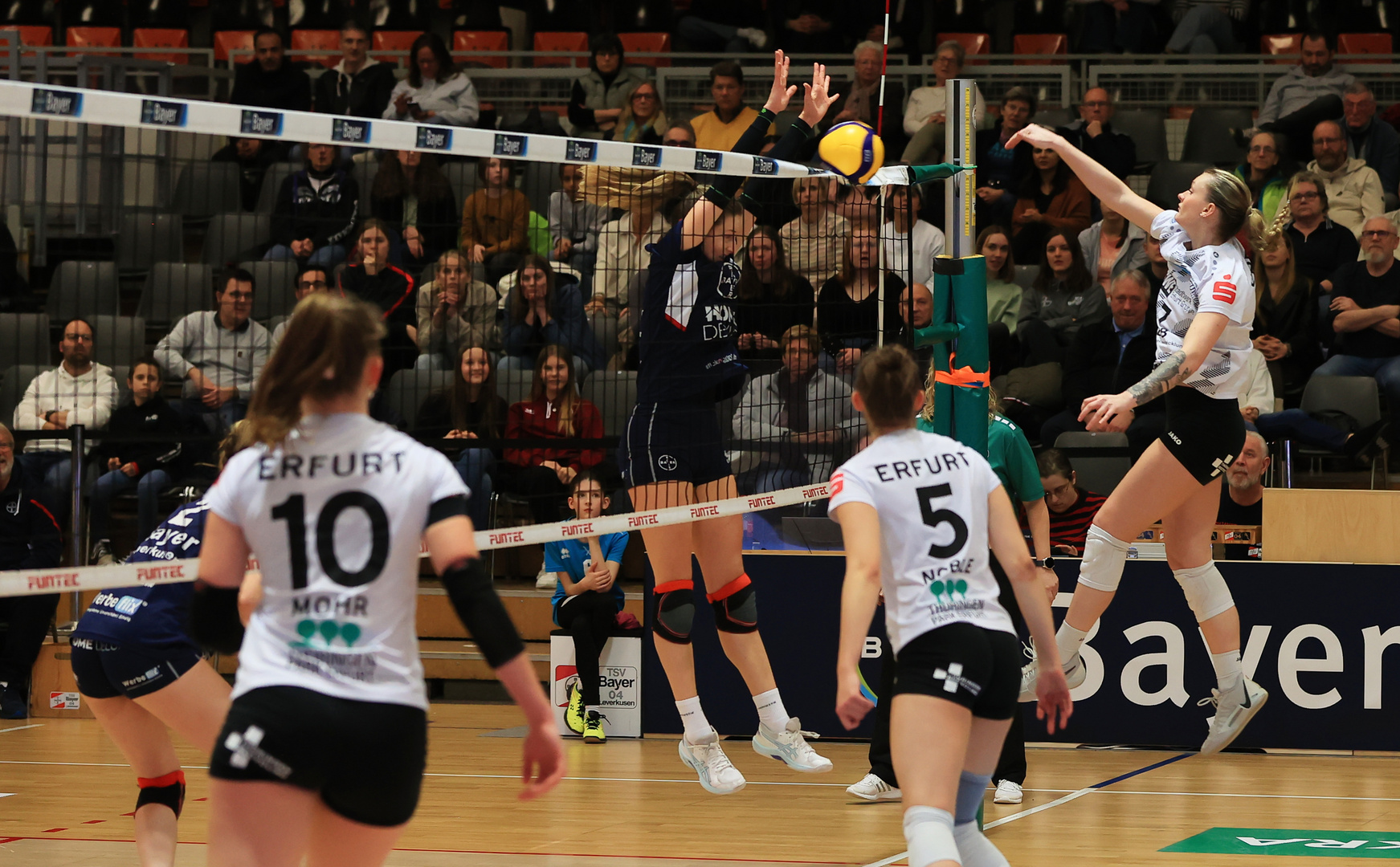 Bayer Volleys vs SW Erfurt_4822