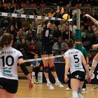 Bayer Volleys vs SW Erfurt_4822