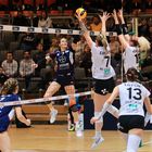 Bayer Volleys vs SW Erfurt_4897