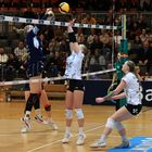 Bayer Volleys vs SW Erfurt_4939