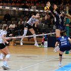 Bayer Volleys vs SW Erfurt_4971