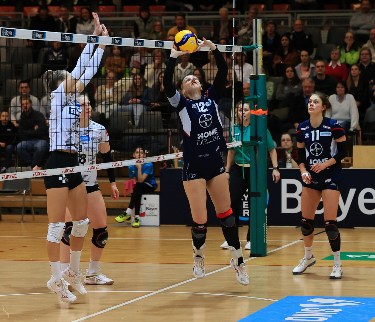 Bayer Volleys vs SW Erfurt_4995