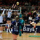 Bayer Volleys vs SW Erfurt_5125