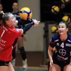 Bayer Volleys vs TV Dingolfing_4476